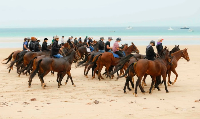 Polo Ponies Gallop into Broome