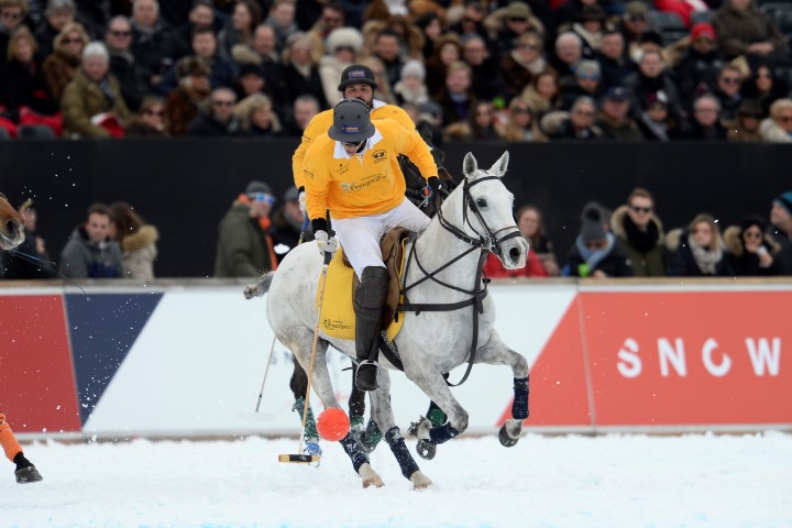 31 01 16-0350 24615072532 o