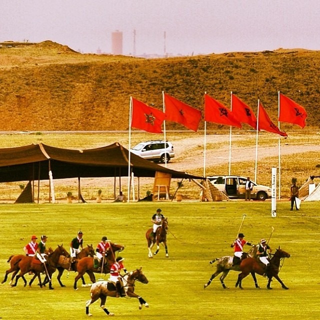 Polo in Morocco