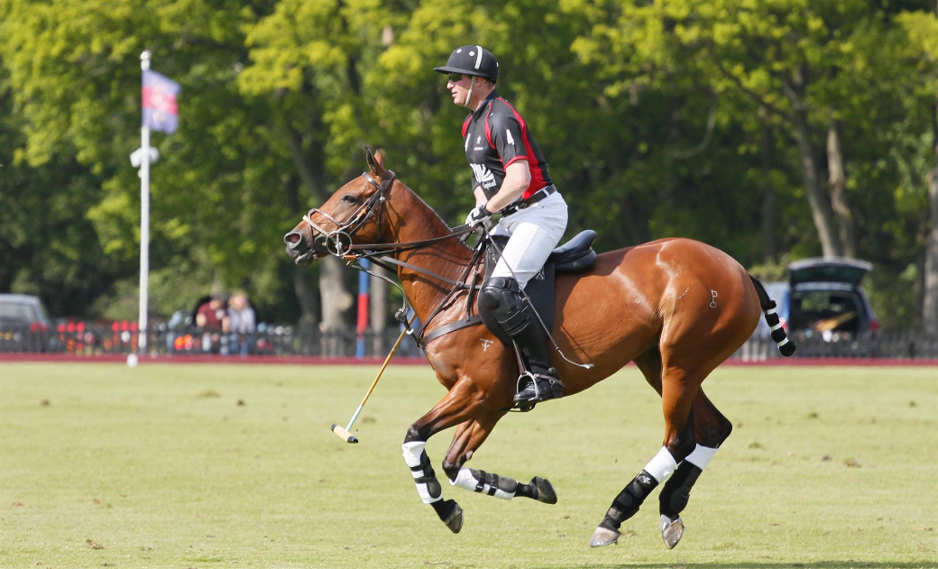 polo tournament queens cup 2013 uk polo celine genonceau polo photograph 21
