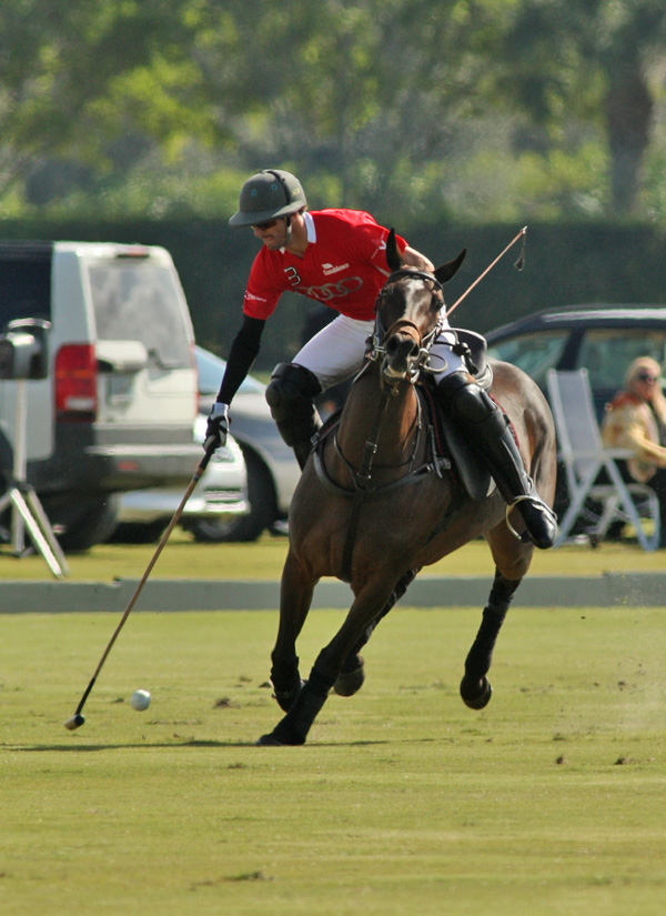polomagazinepachecoPhotos-Bobby Barry Cup Orchard Hill Audipoloteam 5